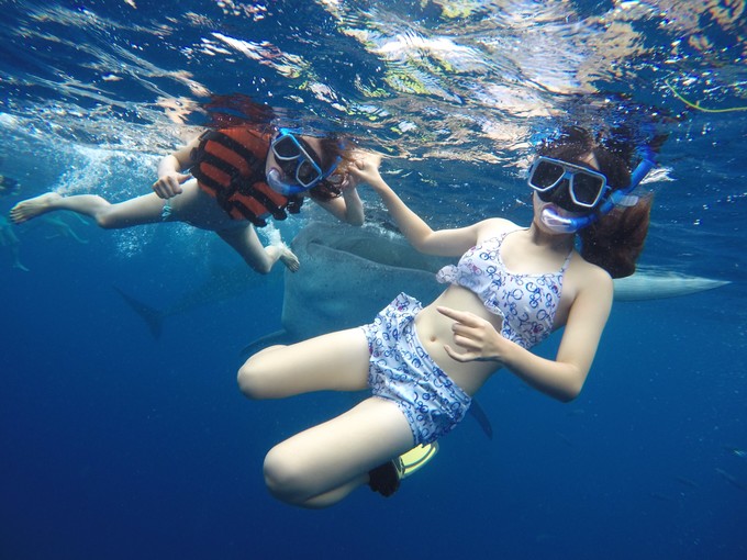 菲律宾潜水游记 (回忆菲律宾潜水的时光)