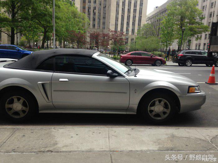 野鹅旅行,野鹅自驾无人区