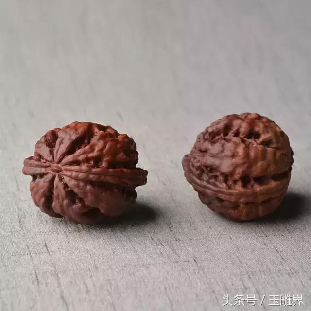 卖萌无罪怎么样,卖萌无罪厦门