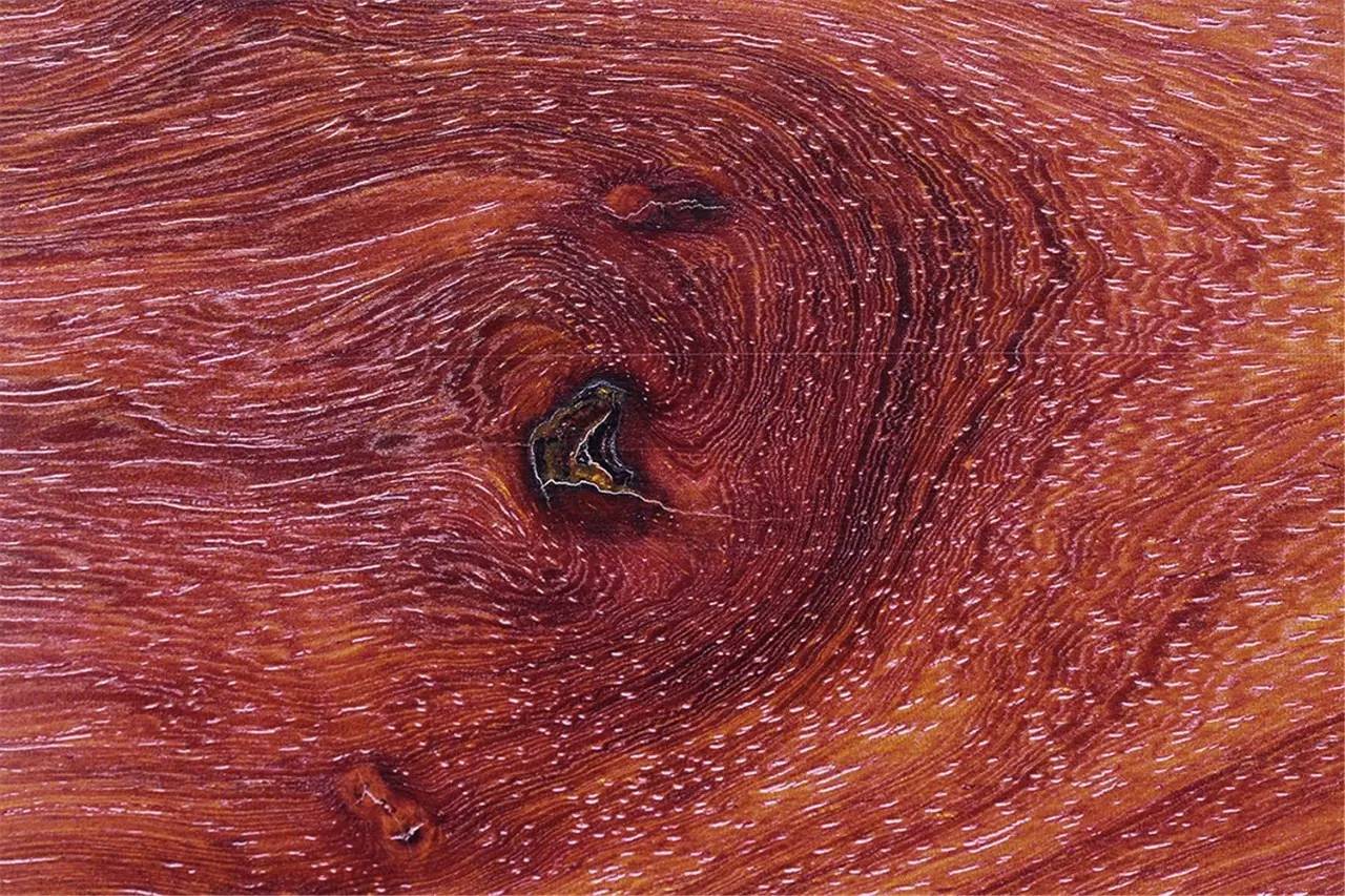 以9315万元刷新世界纪录的紫檀大柜，有你不知道的背后故事|退藏