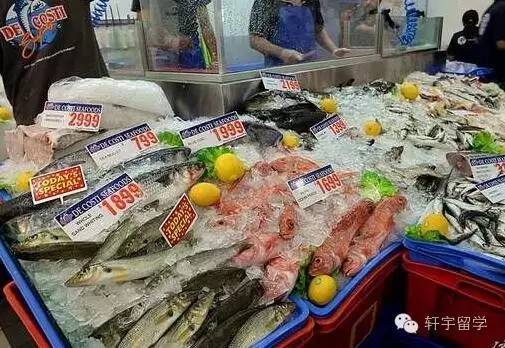 美景+购物黑色星期五遇上加州一号公路！完美旅程11月19日启程！一年一次！抓紧报名！