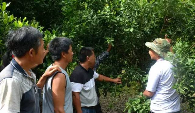 元江的特色美食有哪些 (元江美食干货)