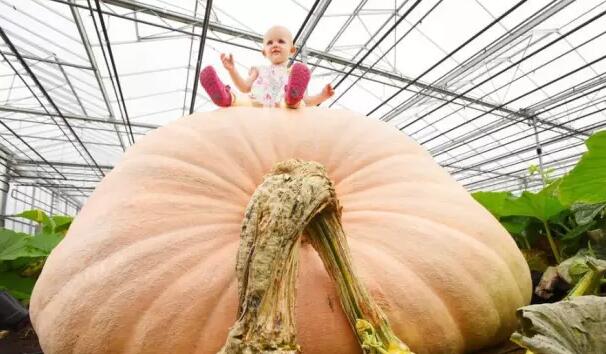 国庆每日晨读,晨读英语美文新年快乐