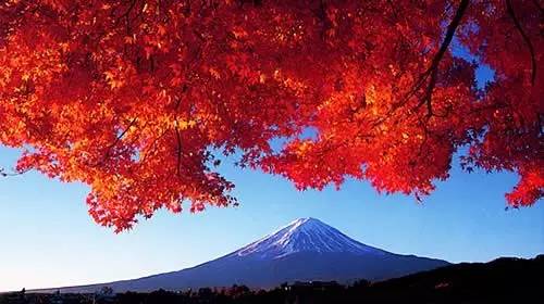 必买特惠好物清单,有什么好物必买的清单