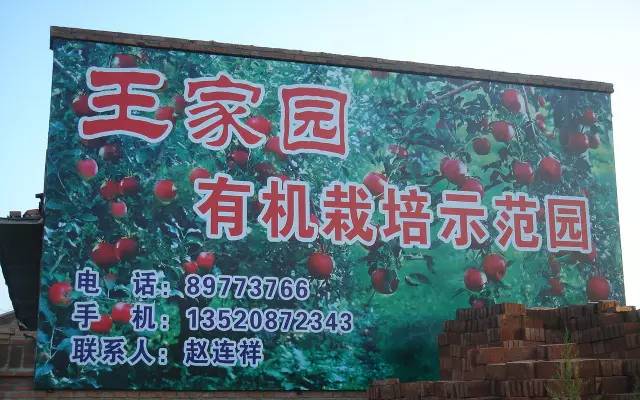 昌平区农业示范园采摘苹果,北京昌平苹果最佳采摘期