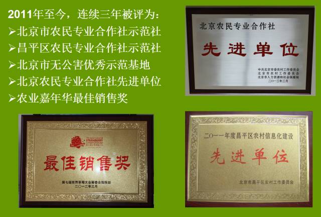 昌平区农业示范园采摘苹果,北京昌平苹果最佳采摘期