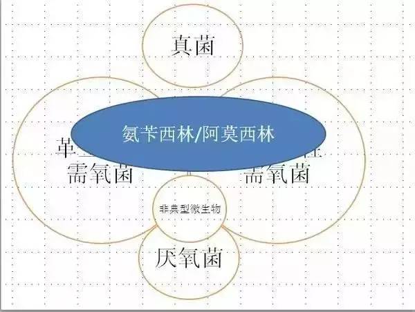 「简单粗暴」最简单明了的抗生素图解！