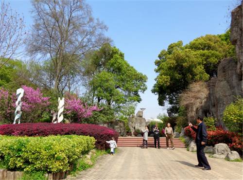 最佳赏桂花地点手绘地图,桂花赏花地图