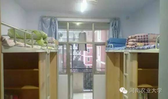 特别策划三分钟过后，农大小石榴马上开挂成老鸟！