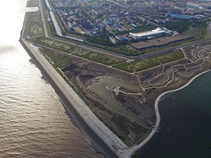 上海一周区情：申城街头添“小蓝车”金山大桥改扩建动工