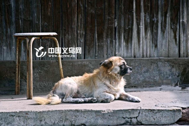 遇见老街啤酒咖啡屋,遇见老街扬州