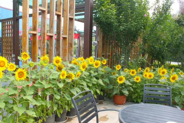 十一国庆节去哪儿泡温泉最好,十一去哪玩沧州市