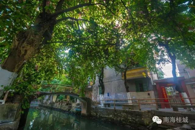 “佛山韵律”集结号已吹响！一大波精彩文化活动保证让你拍照拍到手软