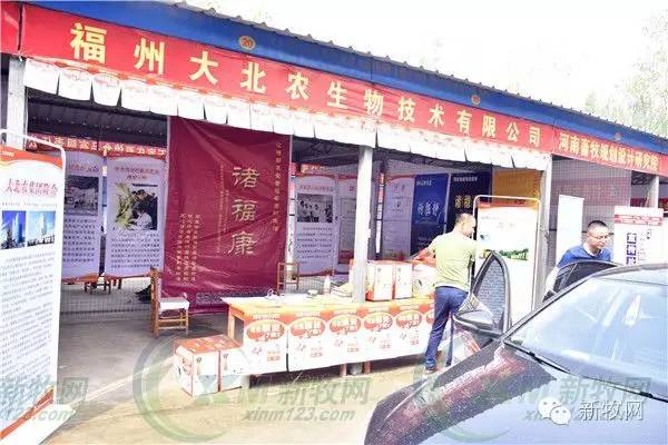 河南养猪业巨头,河南养猪身价百倍