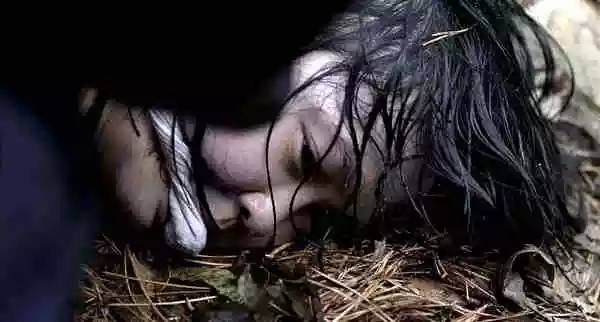 凶手样子,凶手的样子简介