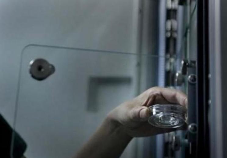 胚胎发育成熟多久可以移植,胚胎移植发展史