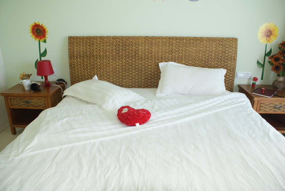 三亚最好的民宿有哪些,三亚大东海最便宜民宿最新价格表