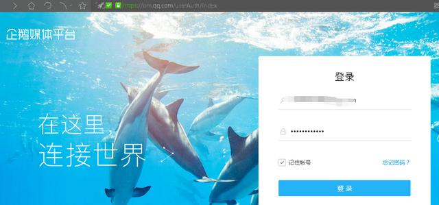 互联网发展历程新媒体时代,互联网时代媒体的机遇