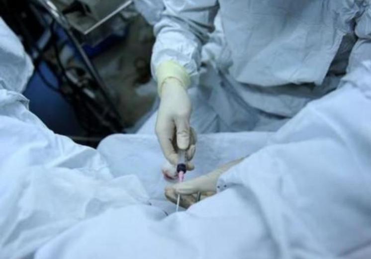 胚胎发育成熟多久可以移植,胚胎移植发展史