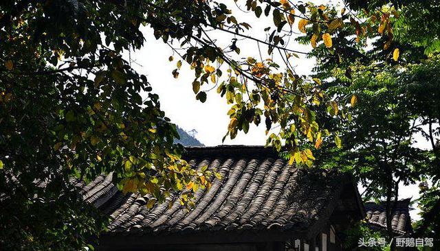 房车自驾阆中古城游玩攻略,野鹅自驾霞云岭