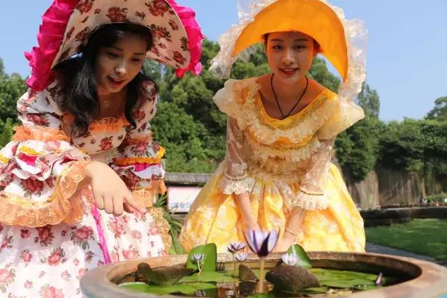 广州莲花山睡莲池,广州市莲花山睡莲