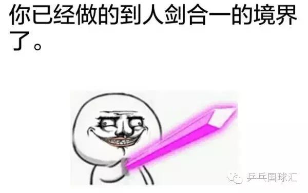 人拍合一,乒乓国球汇基础篇