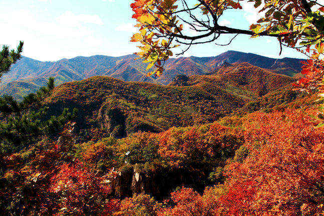 北京怀柔的原始森林,喇叭沟门原始森林公园旅游攻略