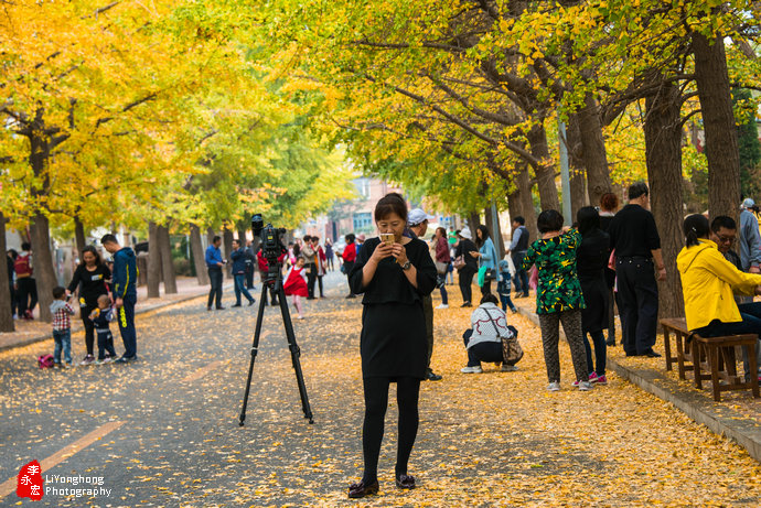 深秋的旅顺太阳沟,大连旅顺太阳沟秋景说说