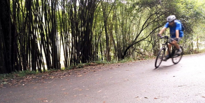 碳纤维4999,碳纤维车最便宜的车型