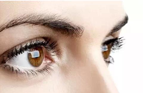 眼睛总是有红血丝模糊怎么回事,想要眼睛乌黑明亮吃什么