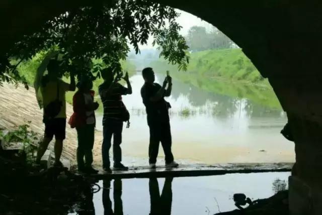 树驮桥的故事,树驮桥视频