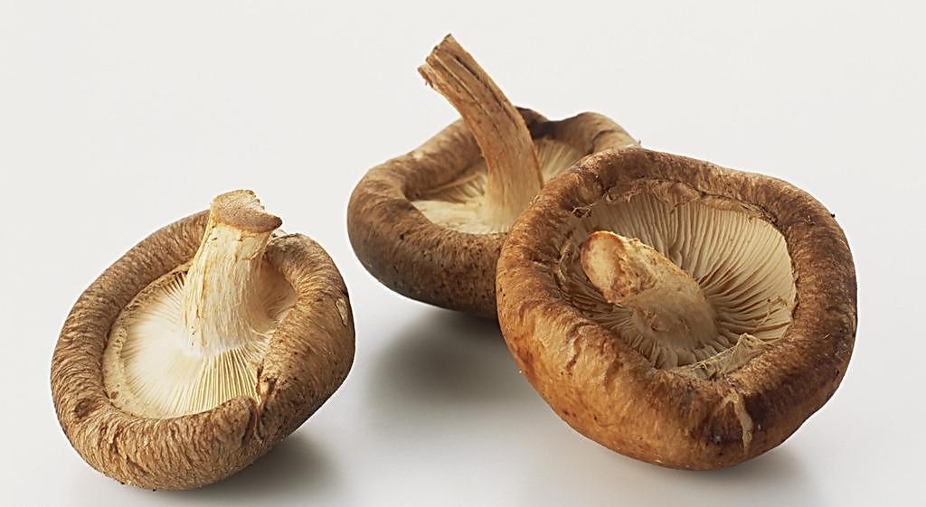 脾虚湿气重吃什么食物,春天湿气重吃什么食物