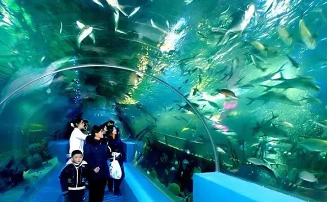 高铁沈阳到西安几小时,向美食出发