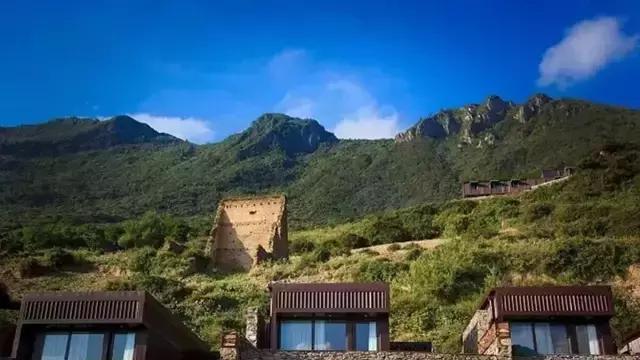 奇葩牧场|不养牛不养羊,居然养这个?