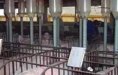 人工授精是什么行业,人工授精属于什么工程的产物