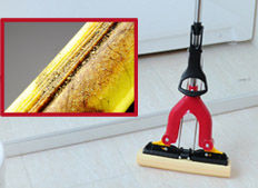 猫咪是如何排出体内吃掉的猫毛,猫咪老是掉毛吃猫用卵磷脂有用吗