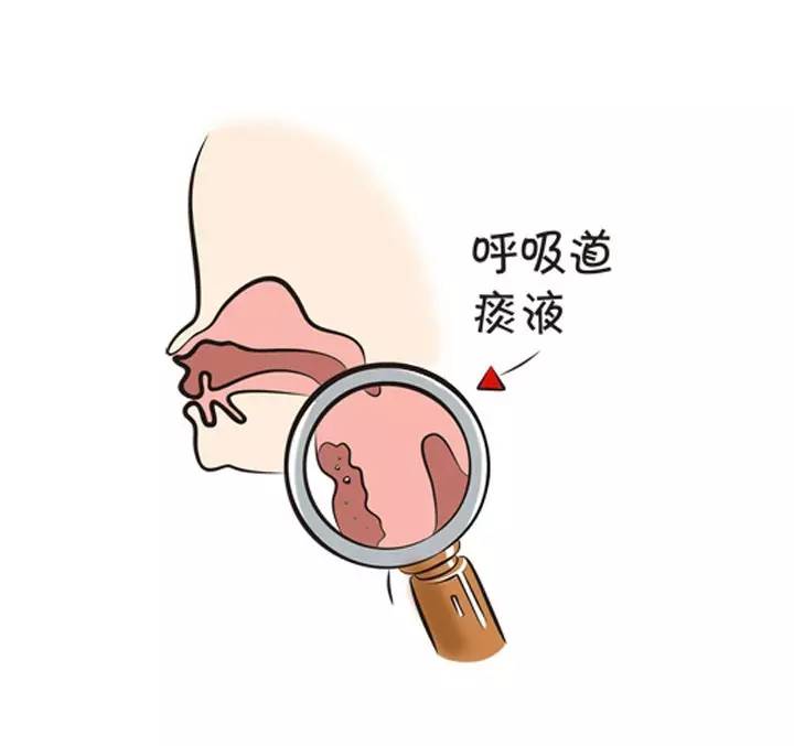 婴儿咳嗽鼻子呼哧呼哧是感冒了么,婴儿咳嗽有鼻涕呼哧呼哧怎么办