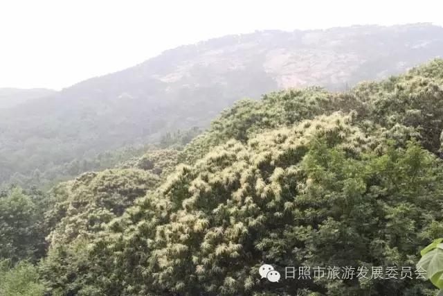 国庆黄金周，我们为您奉上日照旅游饕餮盛宴！