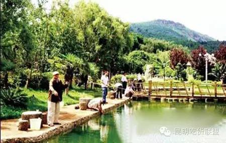 昆明大板桥农家乐的好去处,昆明农家乐烧烤游玩