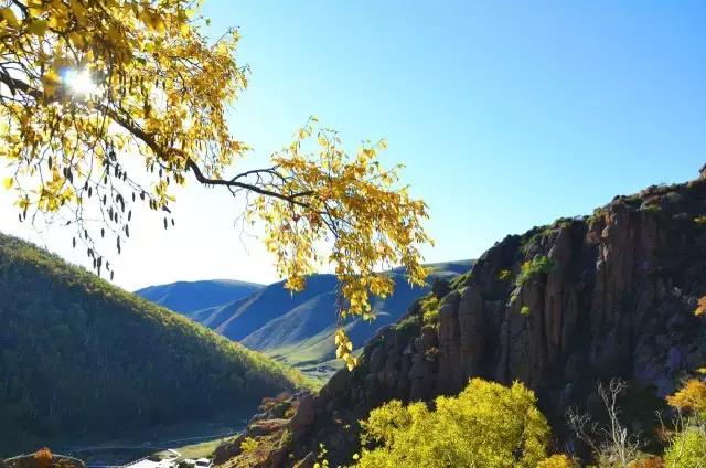 辉腾锡勒黄花沟风景,辉腾锡勒大草原黄花沟的美景