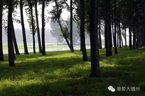 通州游玩攻略景点大全,通州区旅游必去十大景点推荐