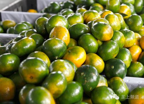 关于水果的那些秘密，湖北老乡看过来！