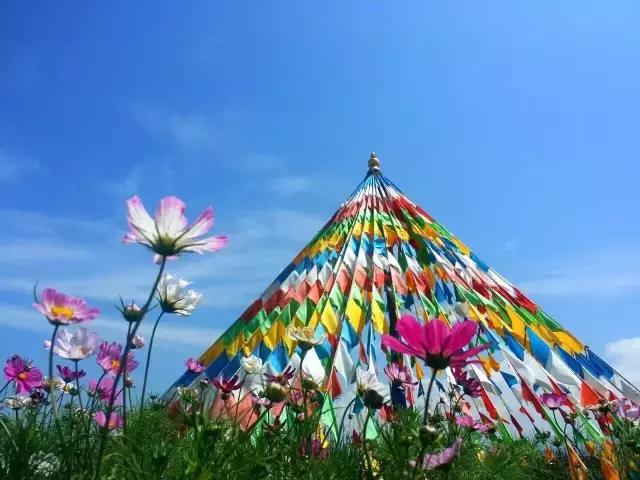 重阳节与老人互动,重阳节和老人互动