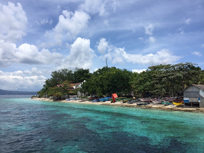 菲律宾潜水攻略 (菲律宾潜水游记)