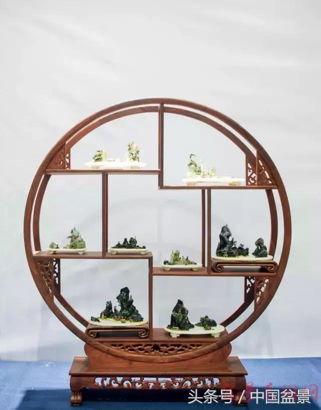 哪些野草适合微型盆景,小品盆景和微型盆景有区别吗