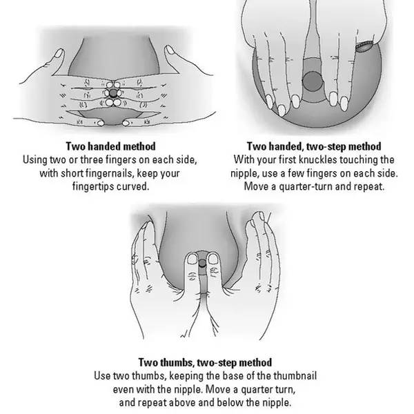 产后涨奶的十大忠告,从开始断奶乳房就没涨过怎么回事