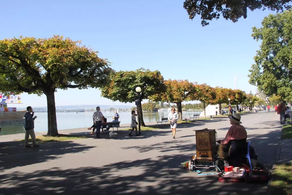 蓝瘦香菇在这里视频,蓝瘦香菇在法国