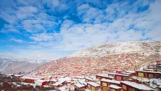 冬季到雪村来看雪,冬季到雪乡去看雪