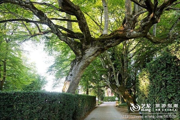 罗莱夏朵香缇,罗莱夏朵怀石