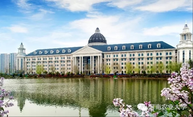 特别策划三分钟过后，农大小石榴马上开挂成老鸟！